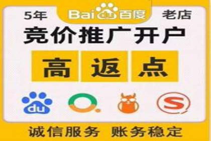 竞价托管服务案例解析